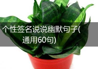 个性签名说说幽默句子(通用60句)