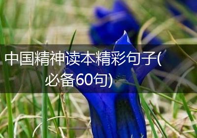 中国精神读本精彩句子(必备60句)