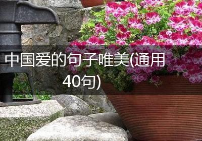 中国爱的句子唯美(通用40句)