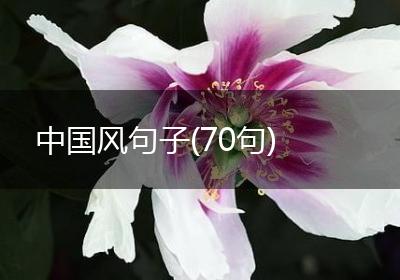中国风句子(70句)