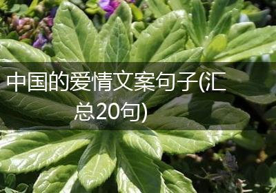 中国的爱情文案句子(汇总20句)