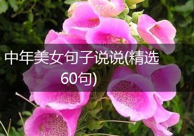 中年美女句子说说(精选60句)