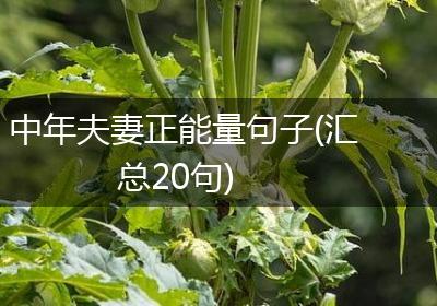 中年夫妻正能量句子(汇总20句)