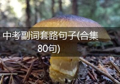 中考副词套路句子(合集80句)