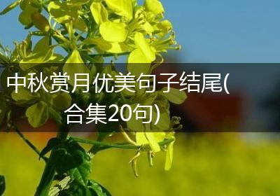 中秋赏月优美句子结尾(合集20句)