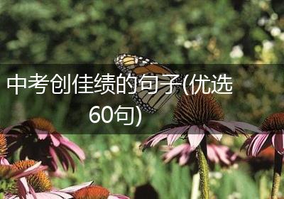 中考创佳绩的句子(优选60句)