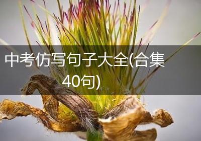 中考仿写句子大全(合集40句)