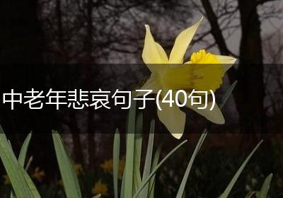中老年悲哀句子(40句)
