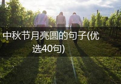 中秋节月亮圆的句子(优选40句)