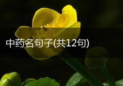 中药名句子(共12句)