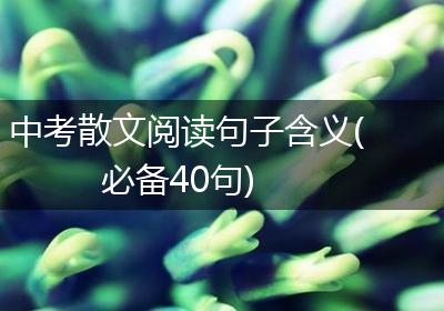 中考散文阅读句子含义(必备40句)