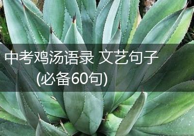 中考鸡汤语录 文艺句子(必备60句)