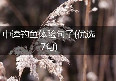 中逵钓鱼体验句子(优选7句)