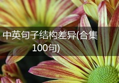 中英句子结构差异(合集100句)