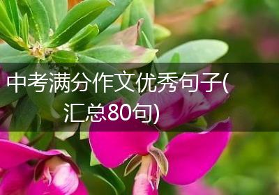中考满分作文优秀句子(汇总80句)