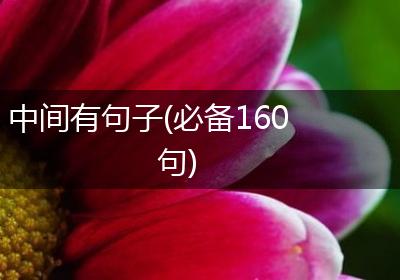 中间有句子(必备160句)