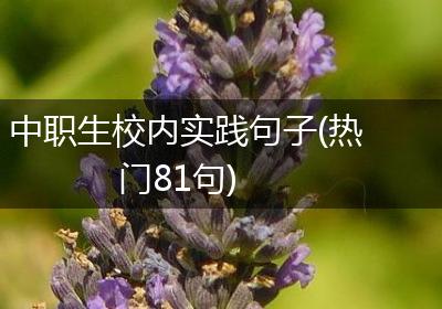 中职生校内实践句子(热门81句)