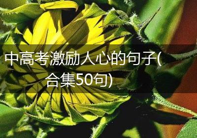 中高考激励人心的句子(合集50句)