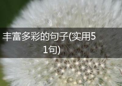 丰富多彩的句子(实用51句)