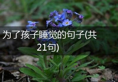 为了孩子睡觉的句子(共21句)