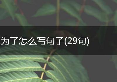 为了怎么写句子(29句)
