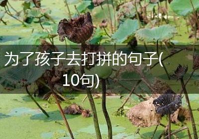 为了孩子去打拼的句子(10句)