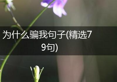 为什么骗我句子(精选79句)