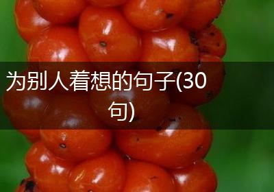 为别人着想的句子(30句)