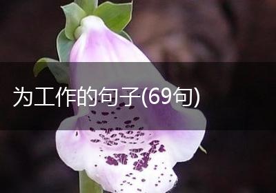 为工作的句子(69句)