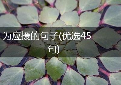 为应援的句子(优选45句)