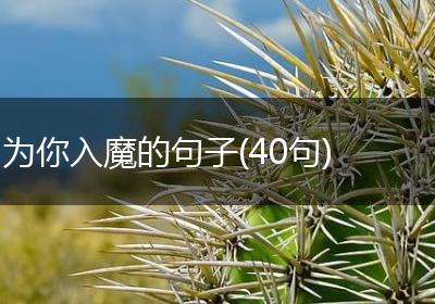 为你入魔的句子(40句)
