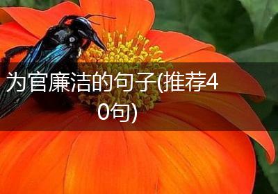 为官廉洁的句子(推荐40句)