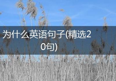 为什么英语句子(精选20句)