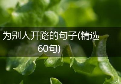 为别人开路的句子(精选60句)