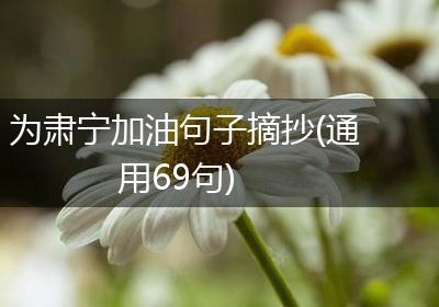 为肃宁加油句子摘抄(通用69句)