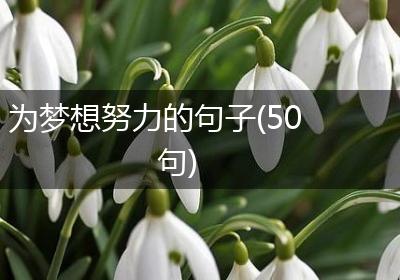 为梦想努力的句子(50句)