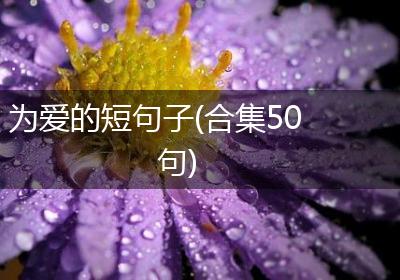 为爱的短句子(合集50句)