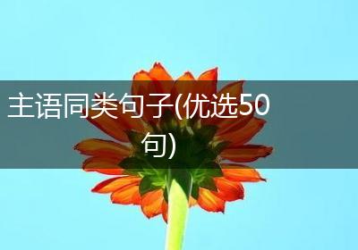 主语同类句子(优选50句)