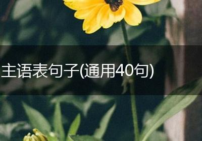 主语表句子(通用40句)