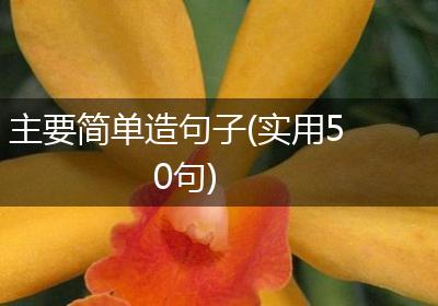 主要简单造句子(实用50句)