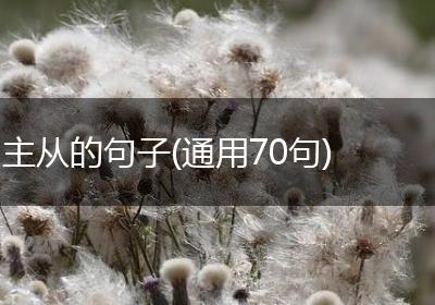 主从的句子(通用70句)