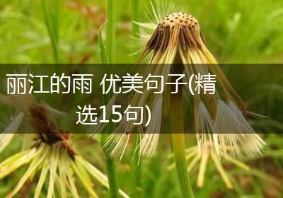 丽江的雨 优美句子(精选15句)