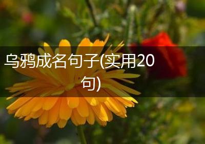 乌鸦成名句子(实用20句)