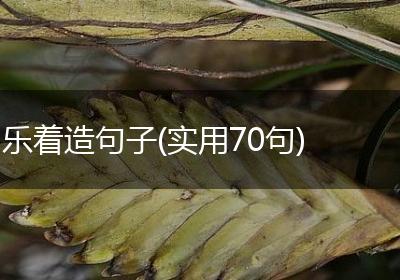 乐着造句子(实用70句)