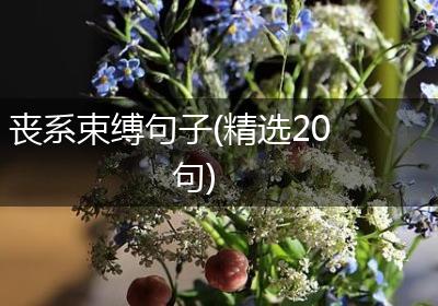 丧系束缚句子(精选20句)