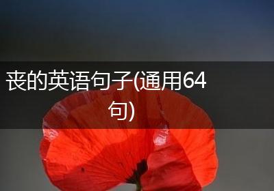 丧的英语句子(通用64句)