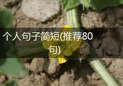 个人句子简短(推荐80句)
