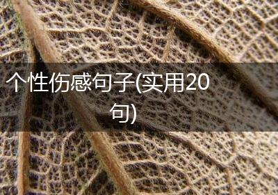 个性伤感句子(实用20句)