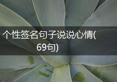 个性签名句子说说心情(69句)
