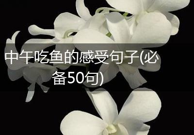 中午吃鱼的感受句子(必备50句)
